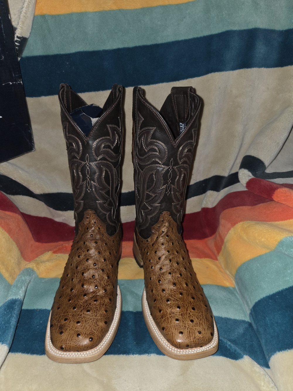 Men's Ostrich Ranch Square Toe Cowboy Boot